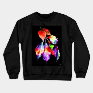 Virginia Creeper Crewneck Sweatshirt